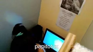 Жир чорне дерево дівчина з пишні сідниці скачати порно відео безкоштовно трахкав жорсткий