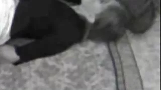 Чоловік отримав хороший мінет і трахнув гнучку дружину відео порно безкоштовно всіляко